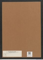 Diatomeae indet. (de-Toni-Nr.: Species 2969) Zeichnungen Sammlung Grunow Mappe 03165 (Herbarium_W_Grunow_drawings_Folder_03165)
